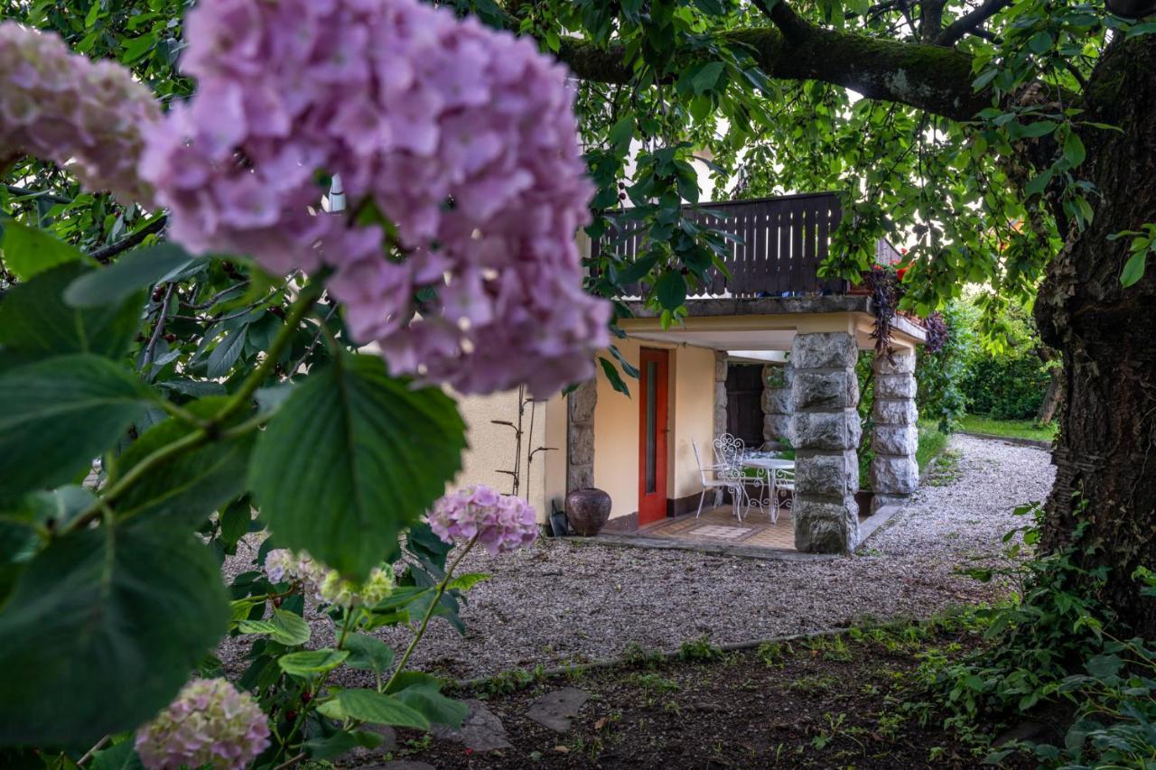 Villa Anna Bled Kültér fotó