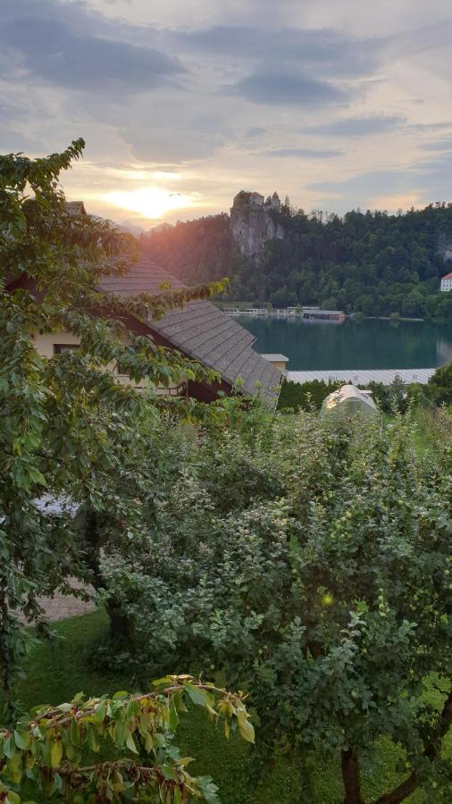 Villa Anna Bled Kültér fotó